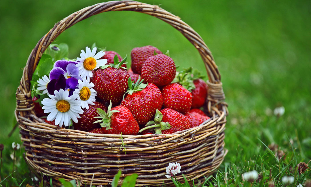 陵水点呀点水果电商APP开发案例